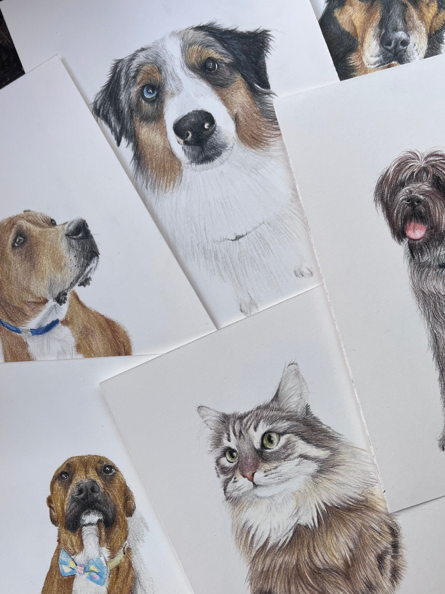 Mini Pet Portraits - Custom hand drawn pet portraits by TheArtJogging!