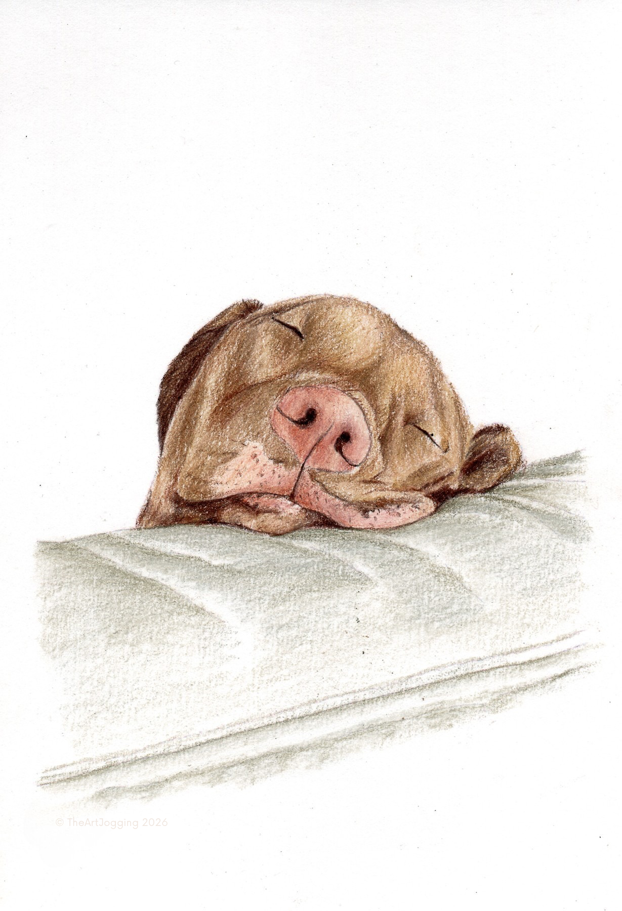 Sleepy dog art prints - mini pet portrait print
