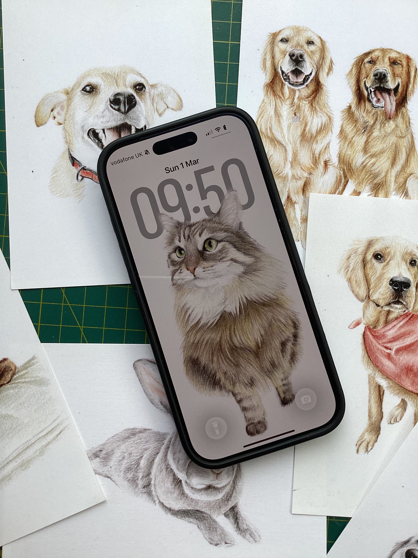 High Resolution digital scan of a pet portrait