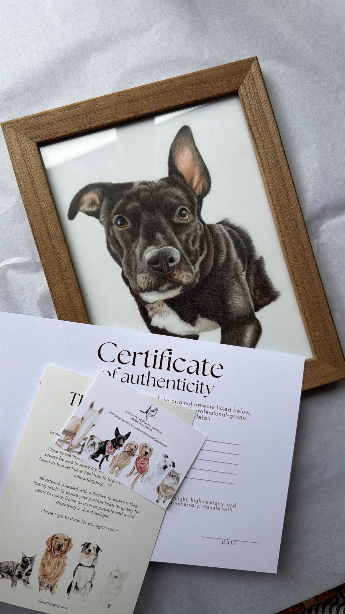Custom Coloured Pet Portrait | Hand-Drawn Pencil Drawing