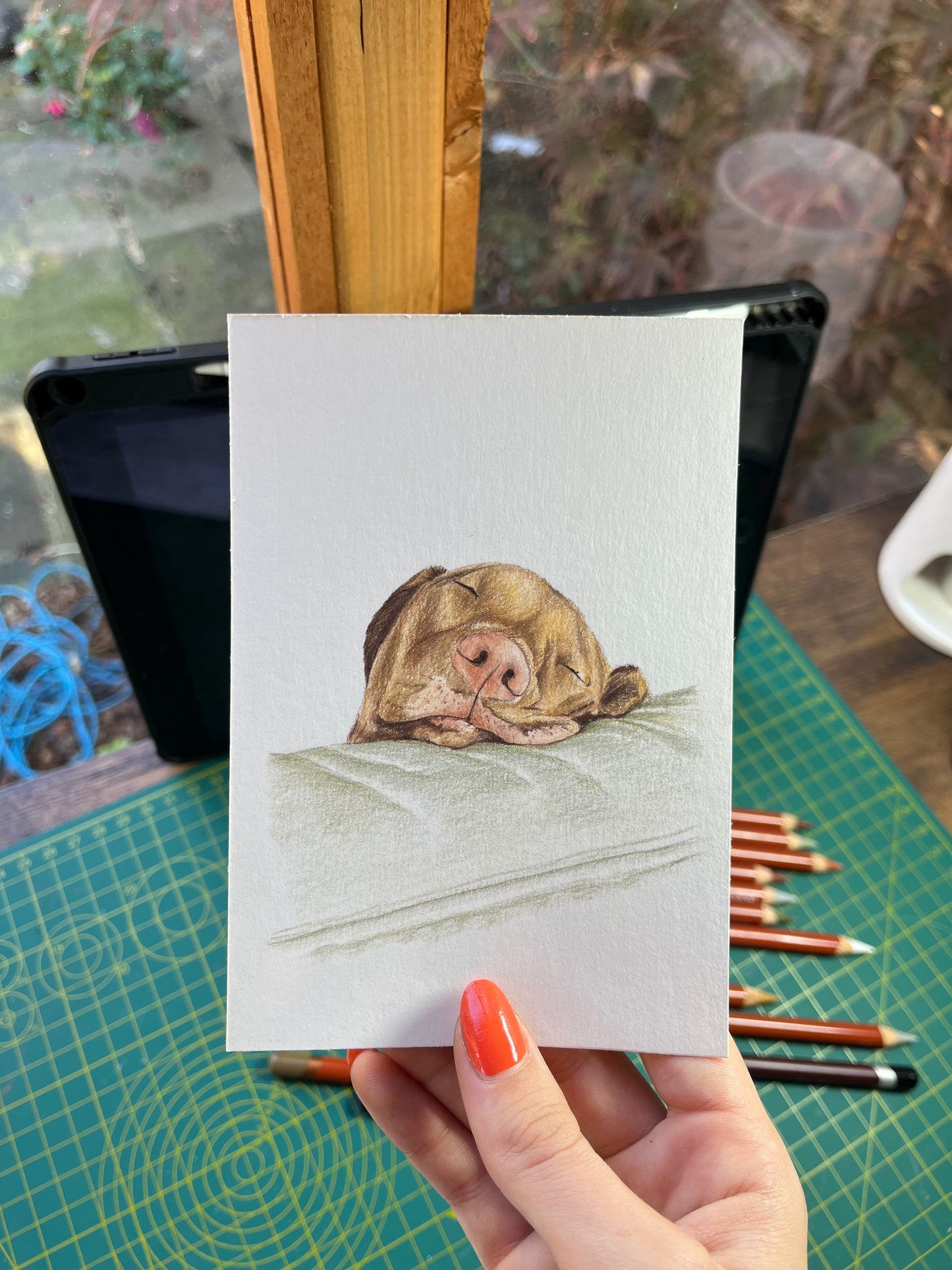 Sleepy dog art prints - mini pet portrait print