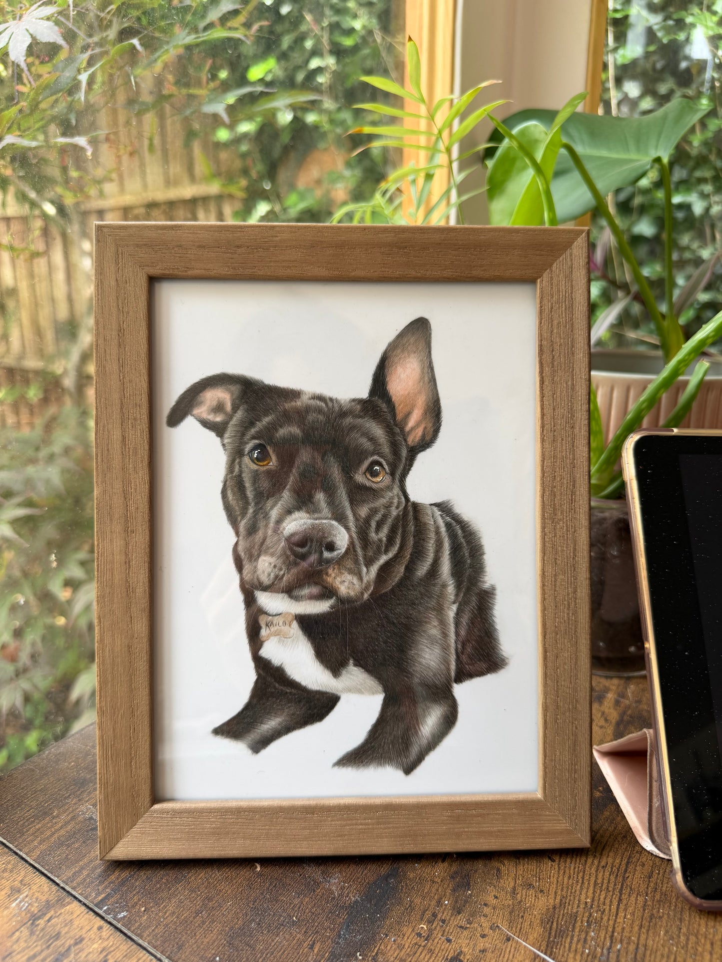 Custom Coloured Pet Portrait | Hand-Drawn Pencil Drawing