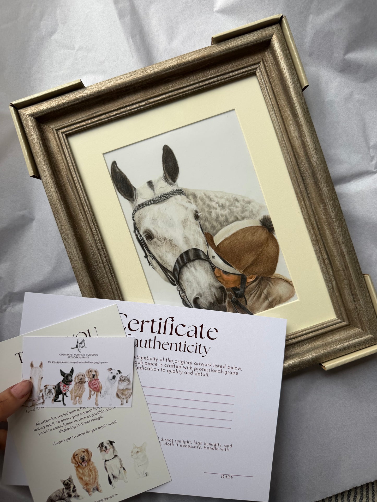Custom Coloured Pet Portrait | Hand-Drawn Pencil Drawing