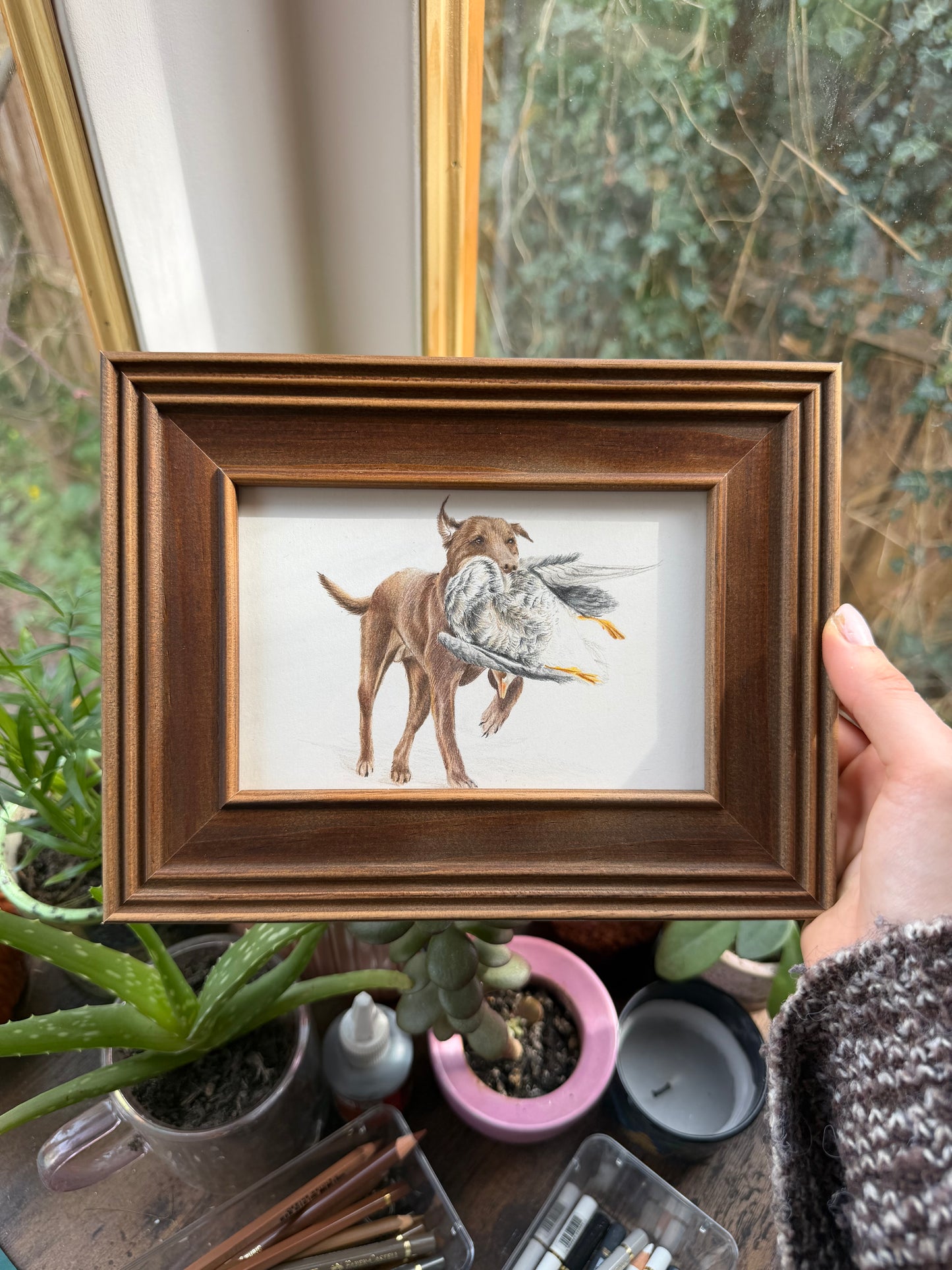 Custom Coloured Pet Portrait | Hand-Drawn Pencil Drawing