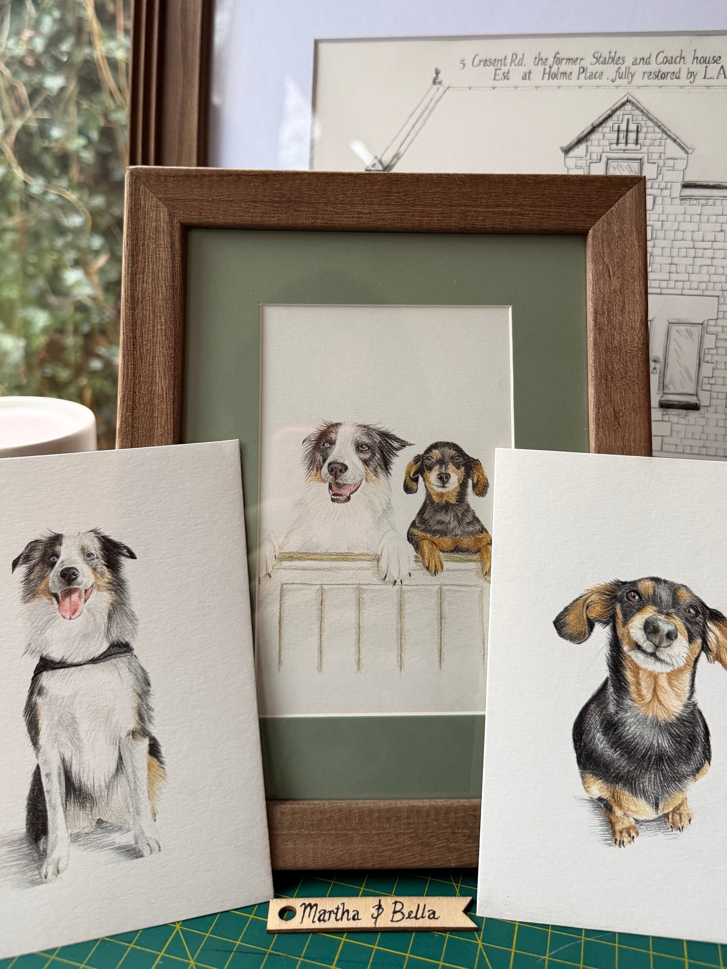 Custom Coloured Pet Portrait | Hand-Drawn Pencil Drawing
