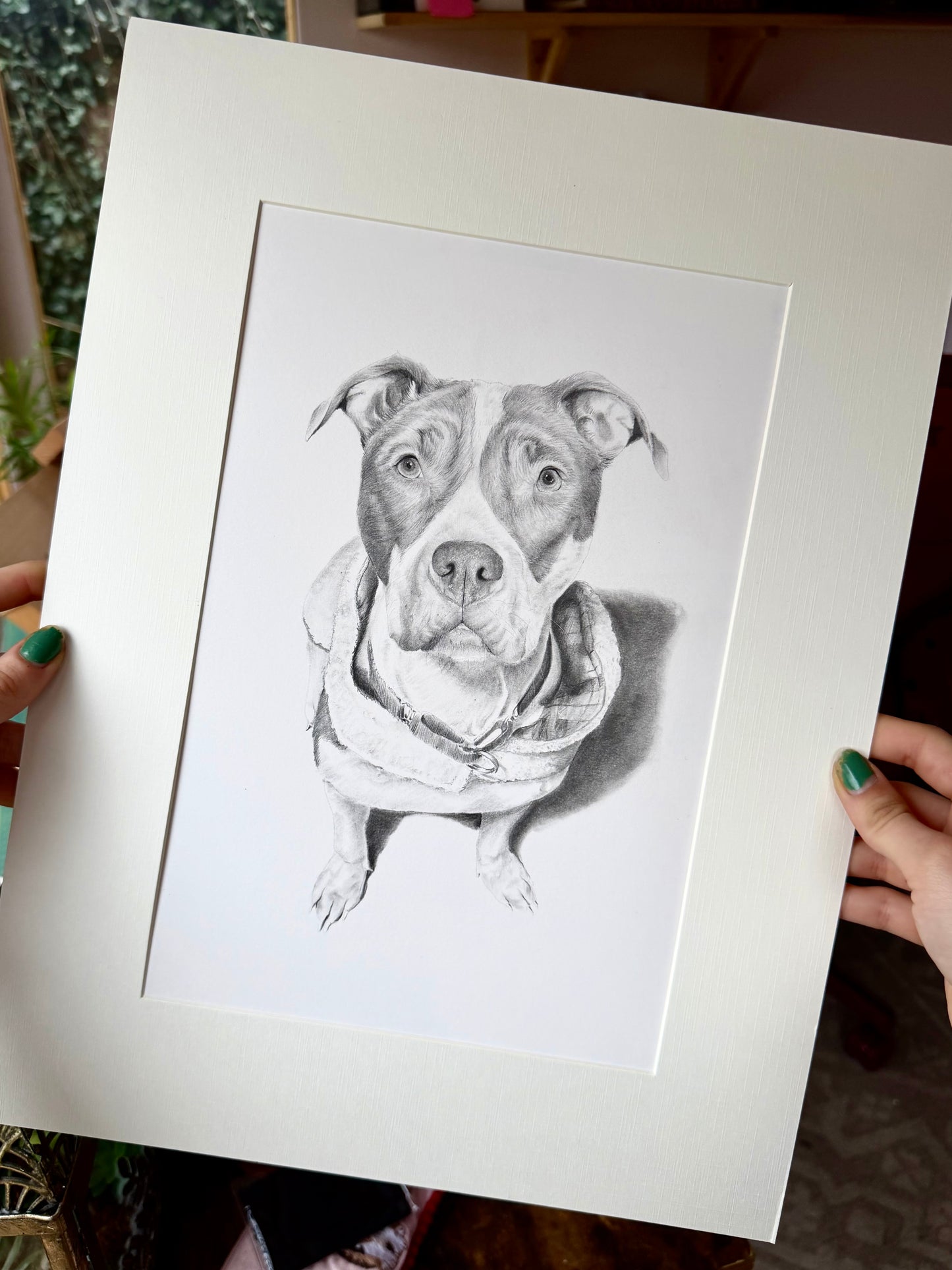 Custom Graphite Pet Portrait | Hand-Drawn Pencil Drawing