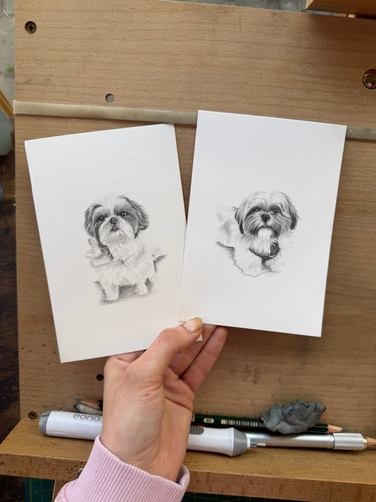 Custom Graphite Pet Portrait | Hand-Drawn Pencil Drawing