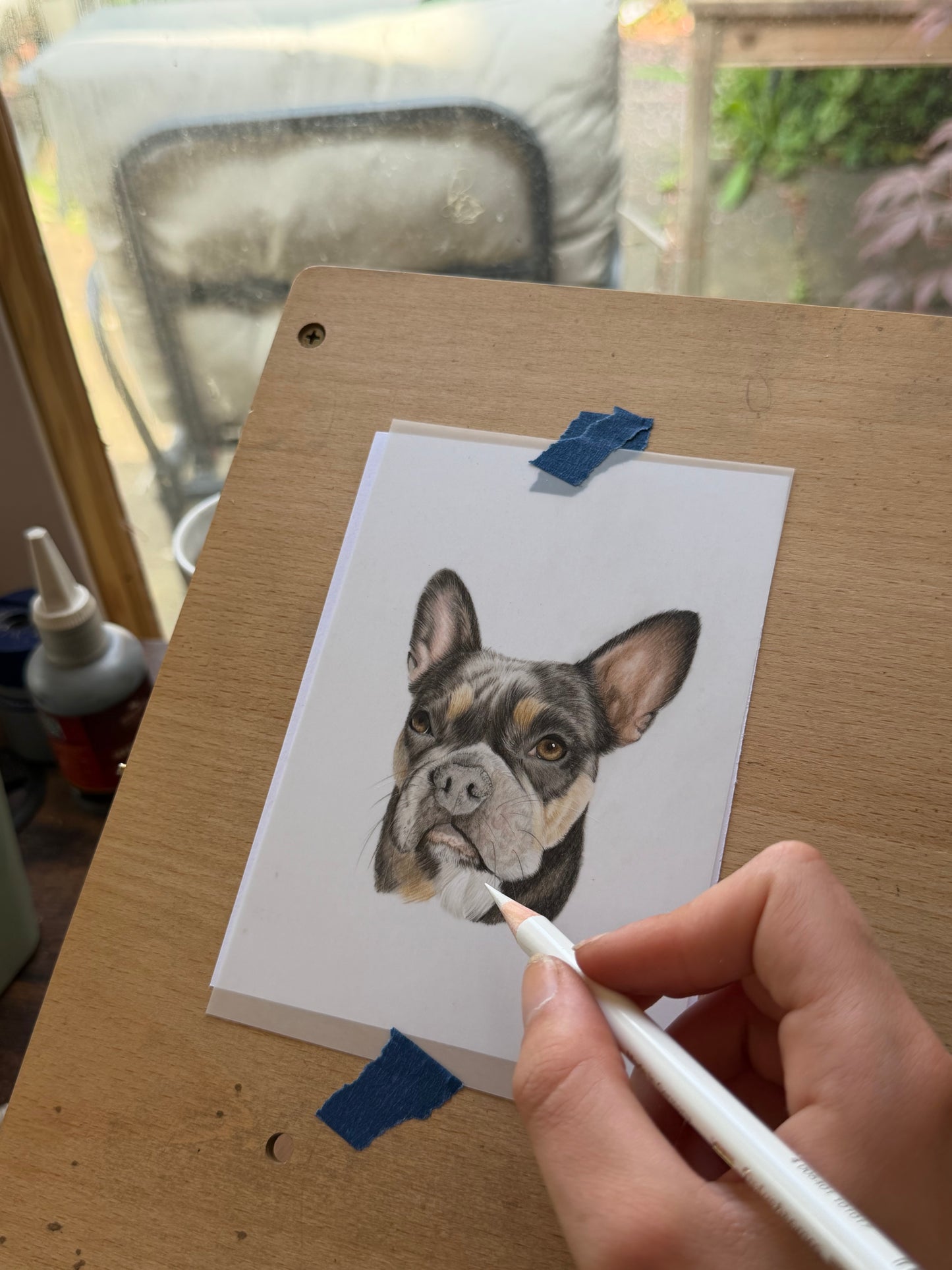 Custom Coloured Pet Portrait | Hand-Drawn Pencil Drawing
