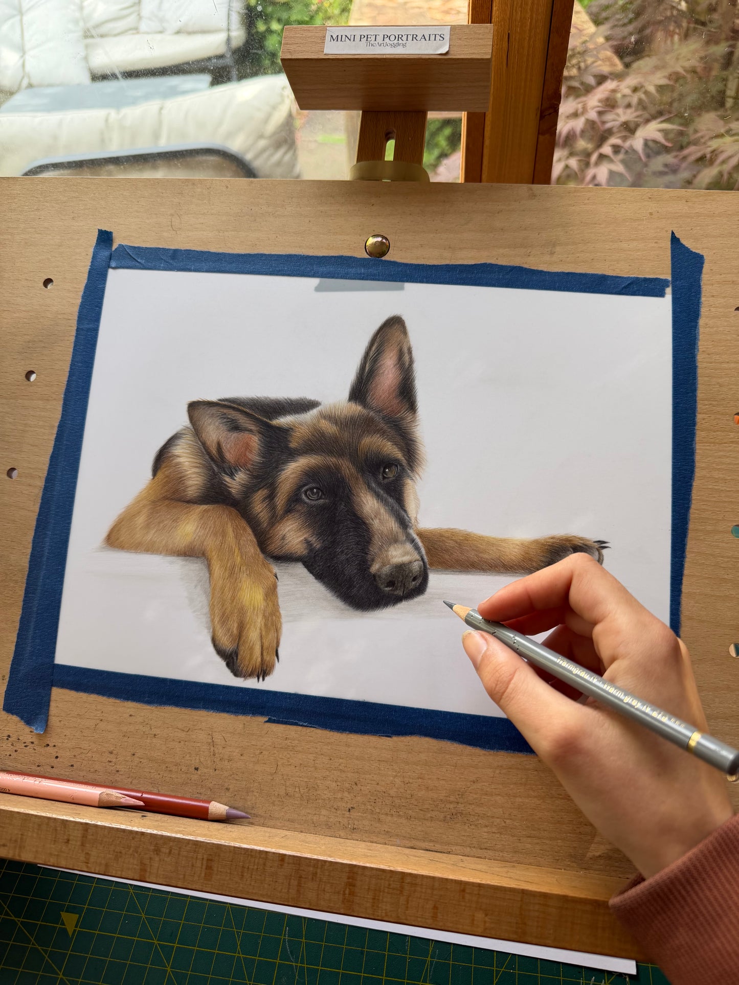 Custom Coloured Pet Portrait | Hand-Drawn Pencil Drawing