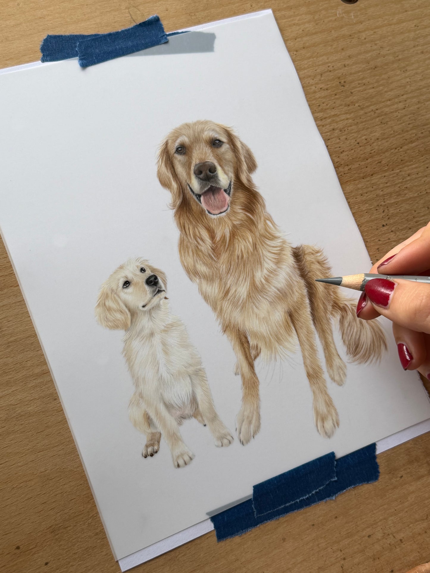 Custom Coloured Pet Portrait | Hand-Drawn Pencil Drawing