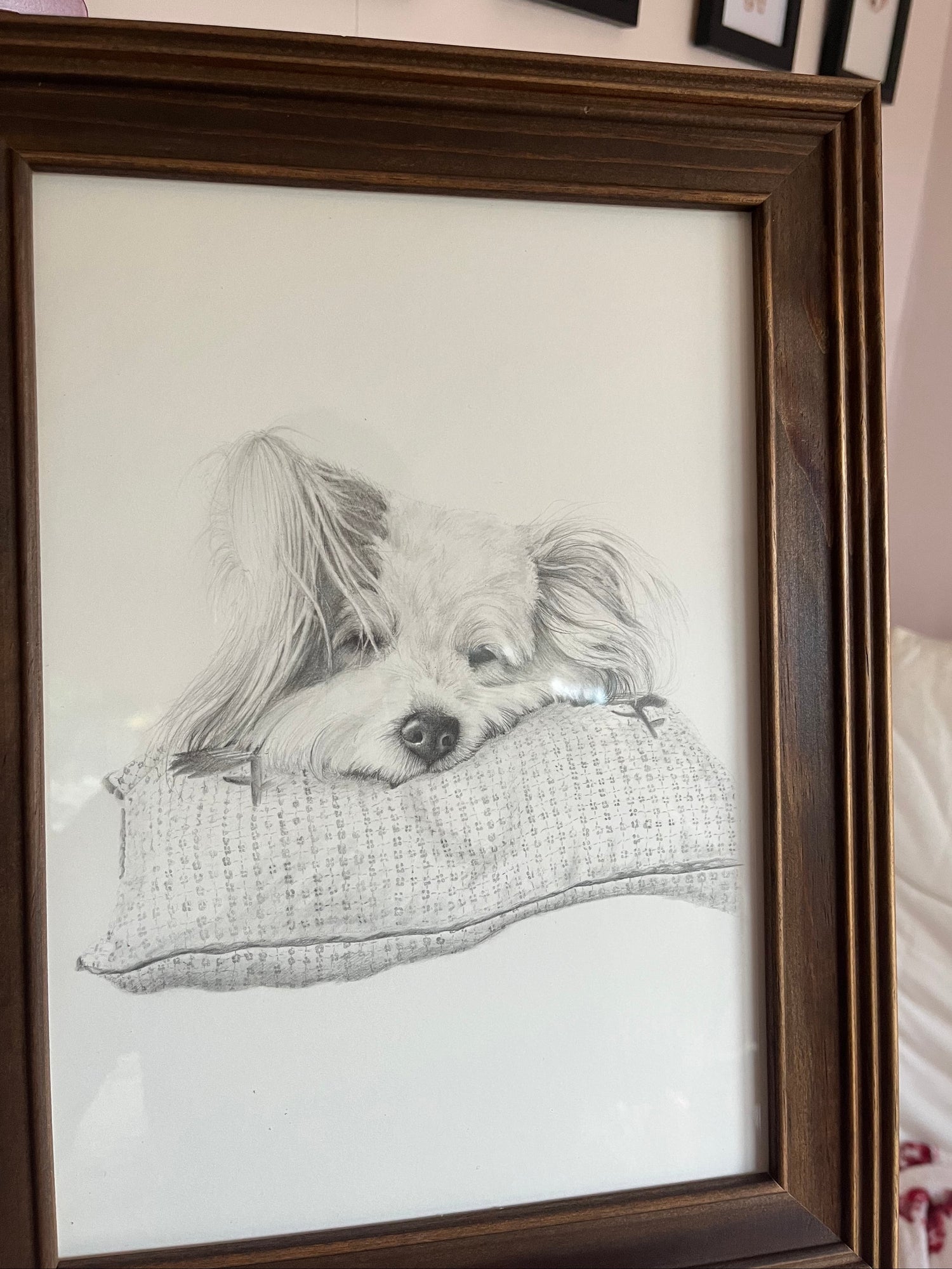 Framed pencil drawing of a dog resting its head on a pillow looking lovingly at owner on a wall with other framed pictures.